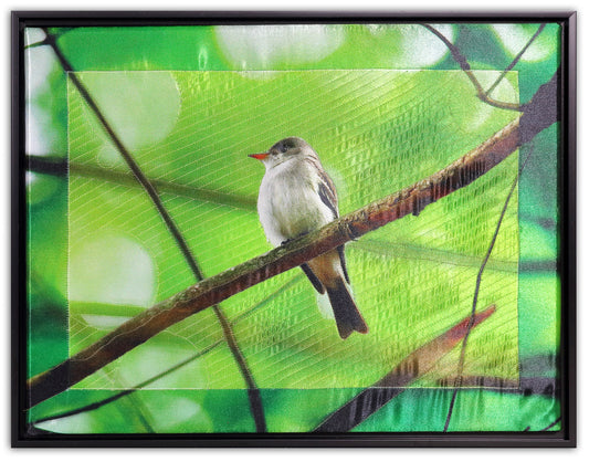 Flycatcher - Bird Watch Wall Quilt by Karen & Larry Hampton