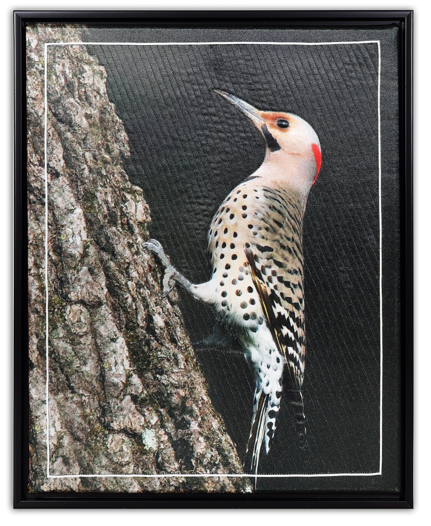 Northern Flicker BW9263 - Bird Watch Wall Quilt by Karen & Larry Hampton