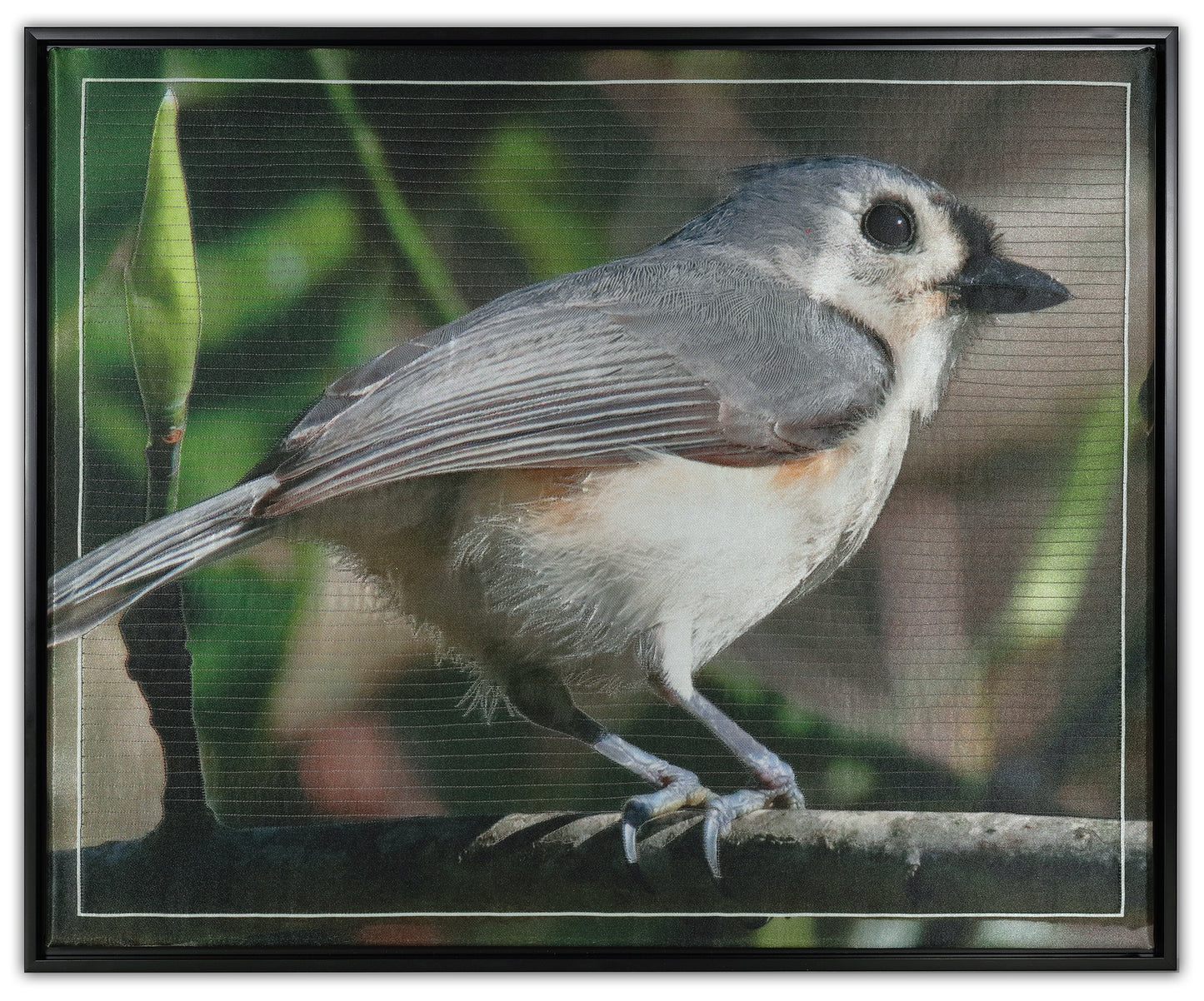 Framed Art Quilt Titled - Tufted Titmouse by KAREN & LARRY HAMPTON
