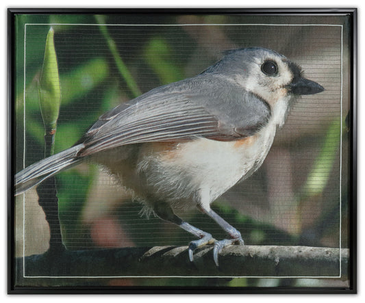 Tufted Titmouse - Bird Watch Wall Quilt by Karen & Larry Hampton
