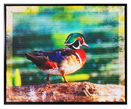 Wood Duck - Bird Watch Wall Quilt by Karen & Larry Hampton