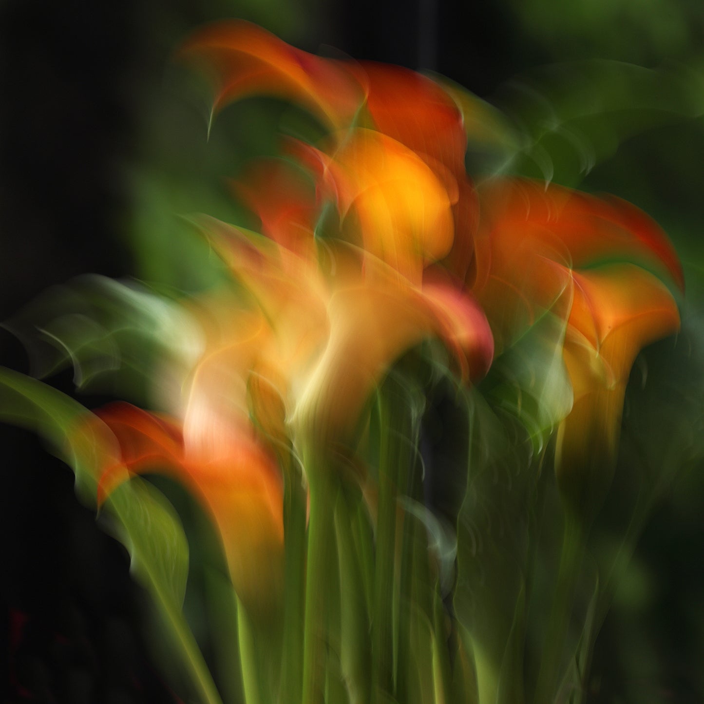 Glowing Brush Strokes - Canvas Photo Art Print