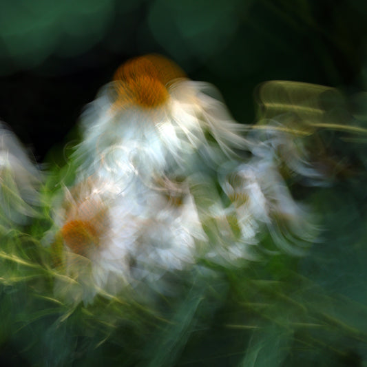 Light Flight Impressions - Painterly Motions Canvas Photo Art Print