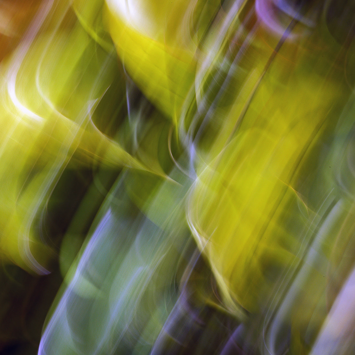 Morning Mirage - Yellow Radiant Canvas Art Print