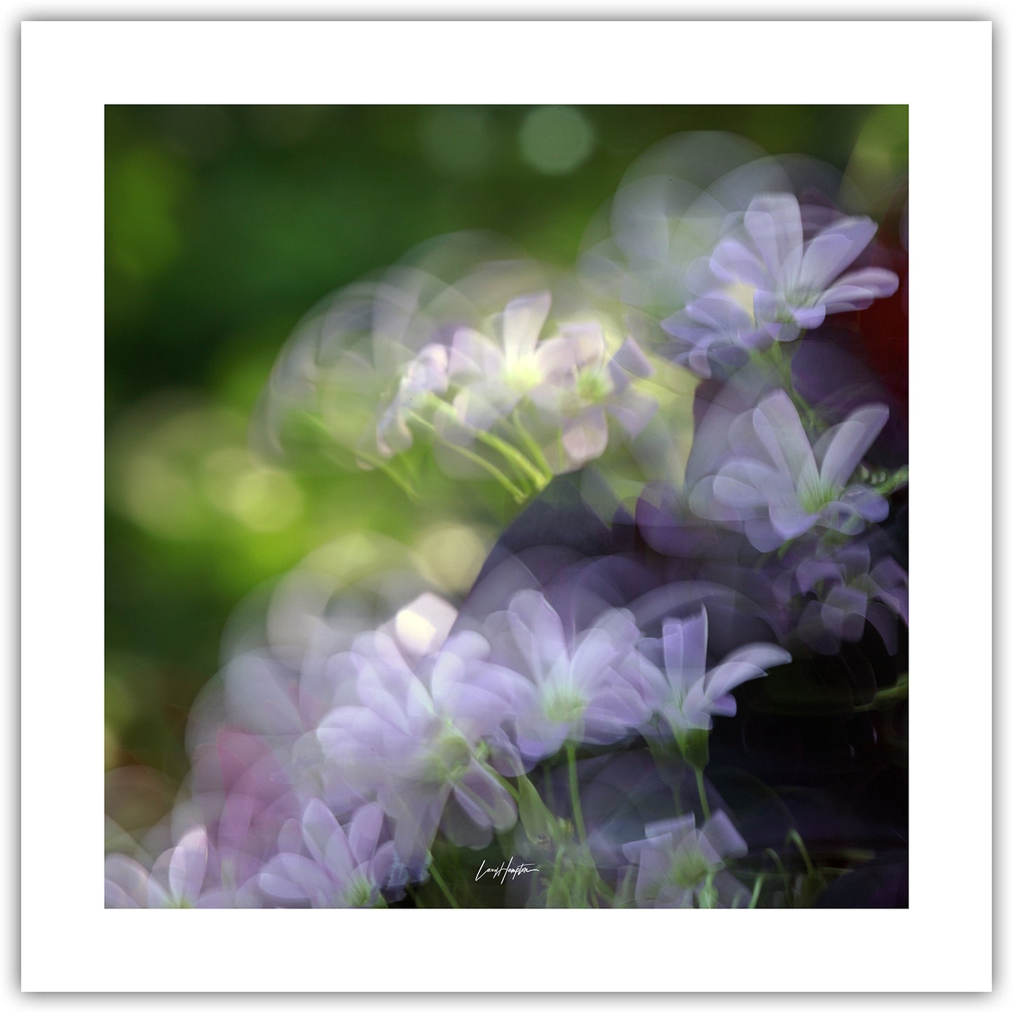 Soft Focus Bloom - ICM photo print of flowers blended in mesmerizing harmony.