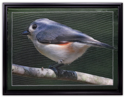 Little Titmouse - Bird Watch Wall Quilt by Karen & Larry Hampton