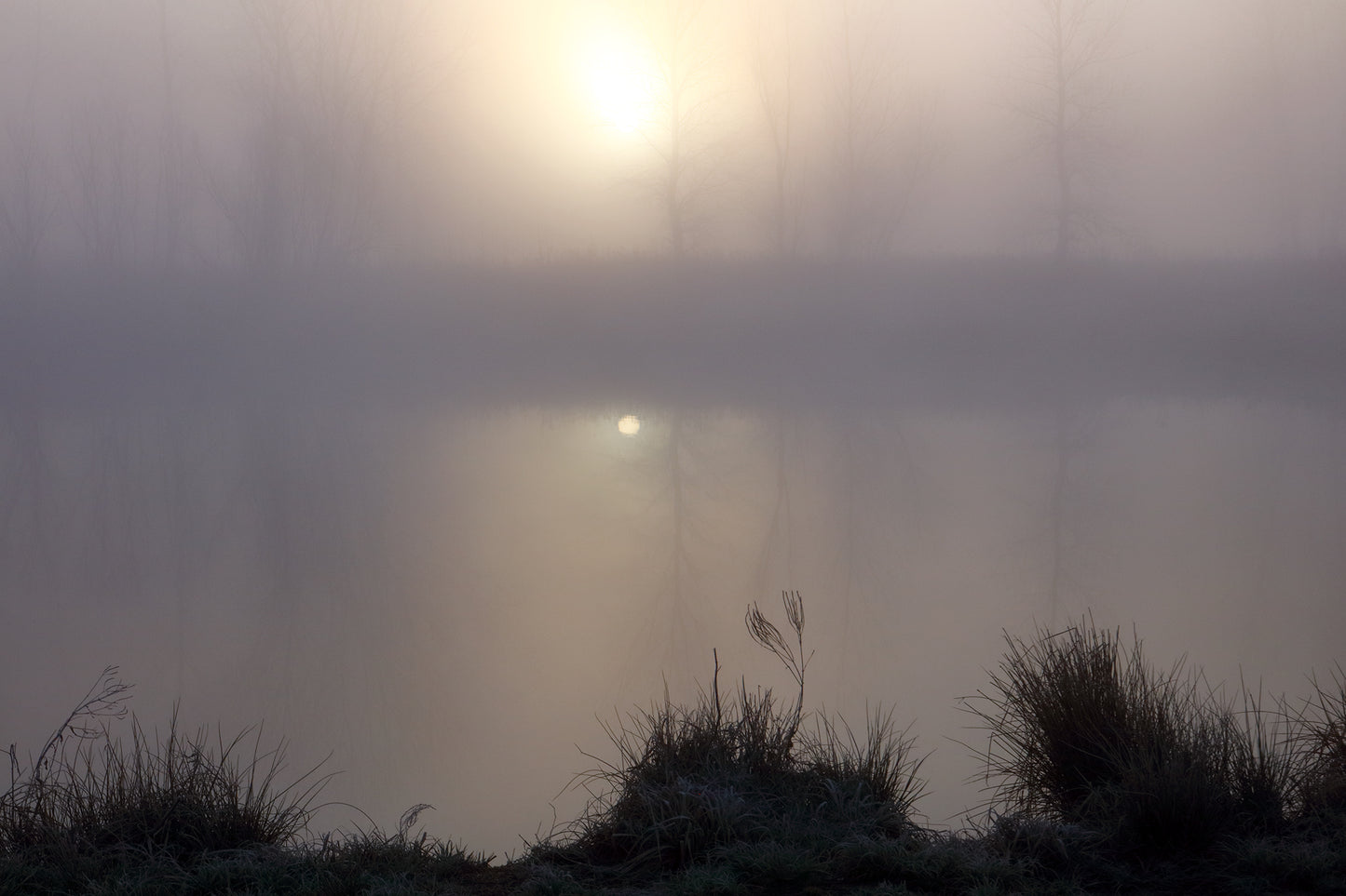 Morning Fog by LARRY HAMPTON