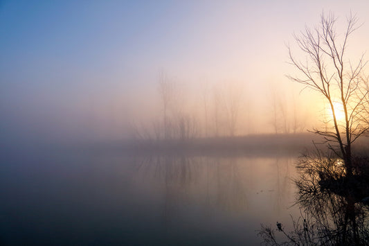 Early Morning Fog by LARRY HAMPTON