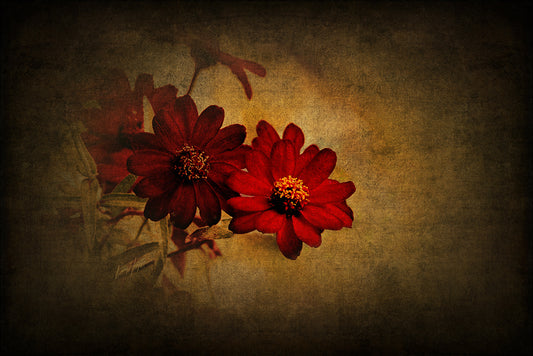 Red Petals on Canvas by LARRY HAMPTON